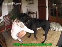 Elegant old honey gets a horrible beast in the kitchen.